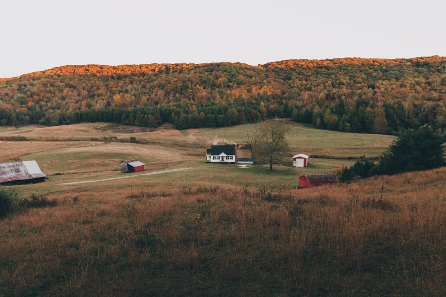 how to make a will in Ontario
