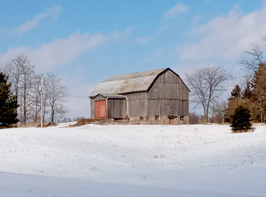 types of wills in Ontario
