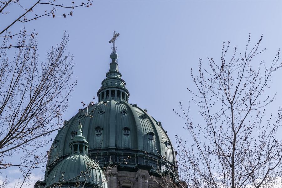 Ontario succession law
