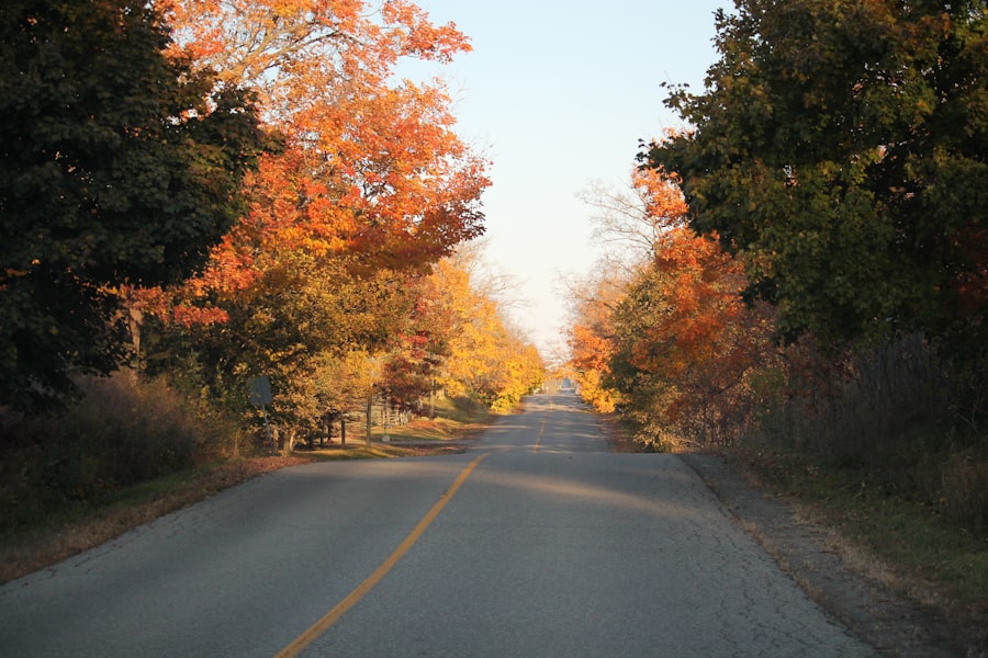 Photo types of wills in Ontario

