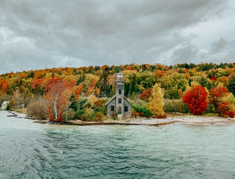 Photo free will template Ontario
